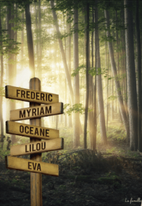 Forêt lumière (Couleur)