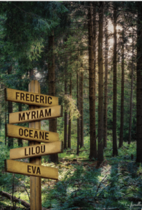 Forêt Pin vert (Couleur)