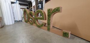 ESDES logo en carton végétalisé