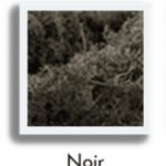 lichen mousse noir stabilisé pour un logo 3D végétalisé