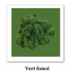 lichen mousse vert foncé stabilisé pour un logo 3D végétalisé