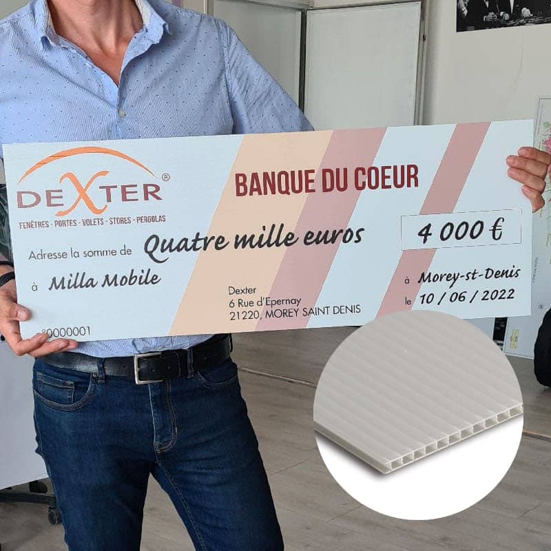 Ch que Geant faux Ch que Archives LEONARD DIJON