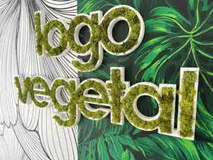 logo vegetal dijon