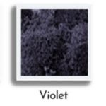 lichen mousse violet stabilisé pour un logo 3D végétalisé