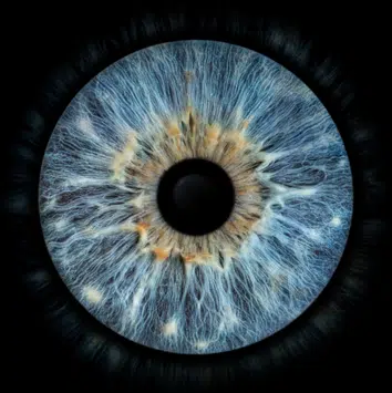 Tableaux iris