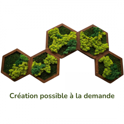 mousse hexagonale Décoration murale verte Mousse vivante Renne Jardins verticaux Décor mousse stabilisée Combinaison de plusieurs couleurs
