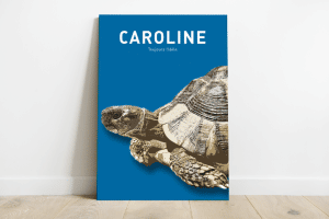 Aluminium (2mm) avec attache au dos