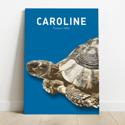 tableau personnalisé tortue avec nom