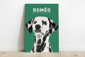 Aluminium (2mm) avec attache au dos