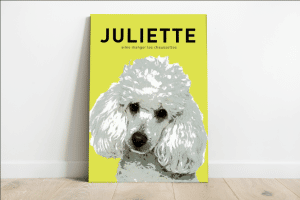 Aluminium (2mm) avec attache au dos