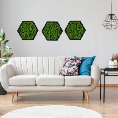 Tableaux végétalisés