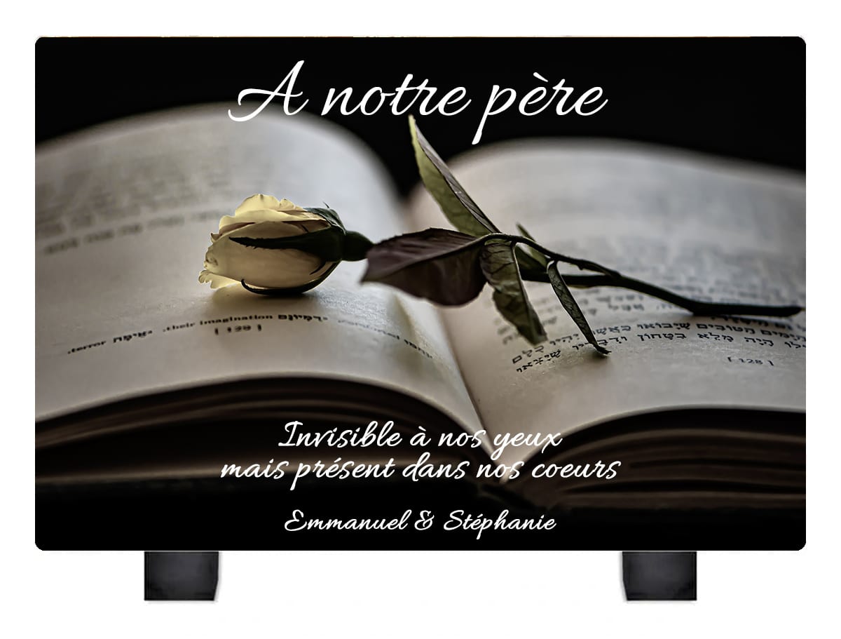 https://www.imprimerie-dijon.com/wp-content/uploads/2023/01/plaque-plexiglass-livre-rose.jpg