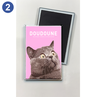 magnet frigo souvenir chat