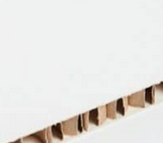 Carton alvéolaire 10mm