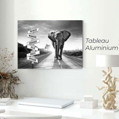 tableau aluminium avec éléphant