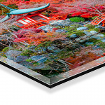 Plexiglass (3mm) avec attache au dos