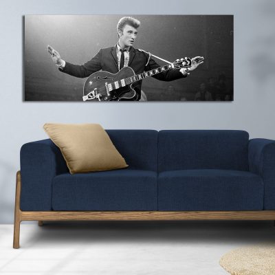 tableau vintage johnny hallyday