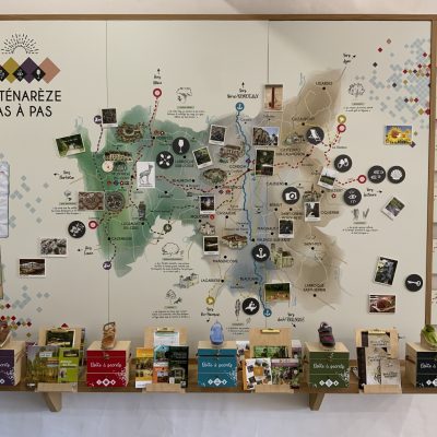 Solutions personnalisées de lettrage adhésif et d'impression pour signalétiques et décors d'expositions.