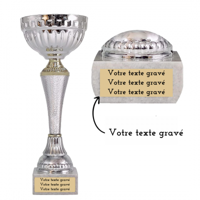 Coupe argentée et dorée – trophée personnalisable Coupe à graver avec le texte de votre choix, pour offrir un cadeau unique et original au vainqueur ou à un proche.