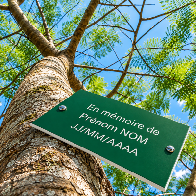 plaque souvenir arbre
