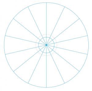 14 segments (camemberts)