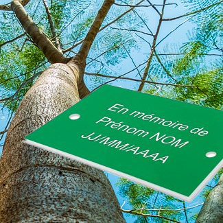 plaque arbre colombarium arbre defunt