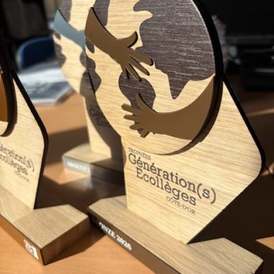 trophée en bois région dijon