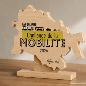 trophee-bois-personnalise trophée de la mobilité en bois